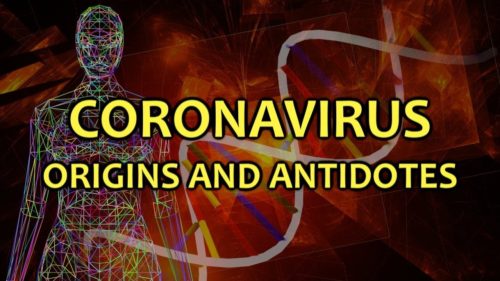 コロナウイルスの起源と解毒剤 by ザ・ナイン