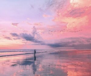 予定通りの変化 by クライオン