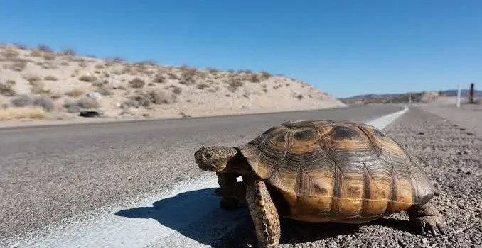 今起きていること