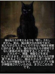 ショート2026-06