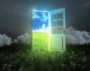 完全に自由な新世界